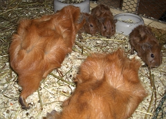 Mit Mutter Halle und Tante Holly